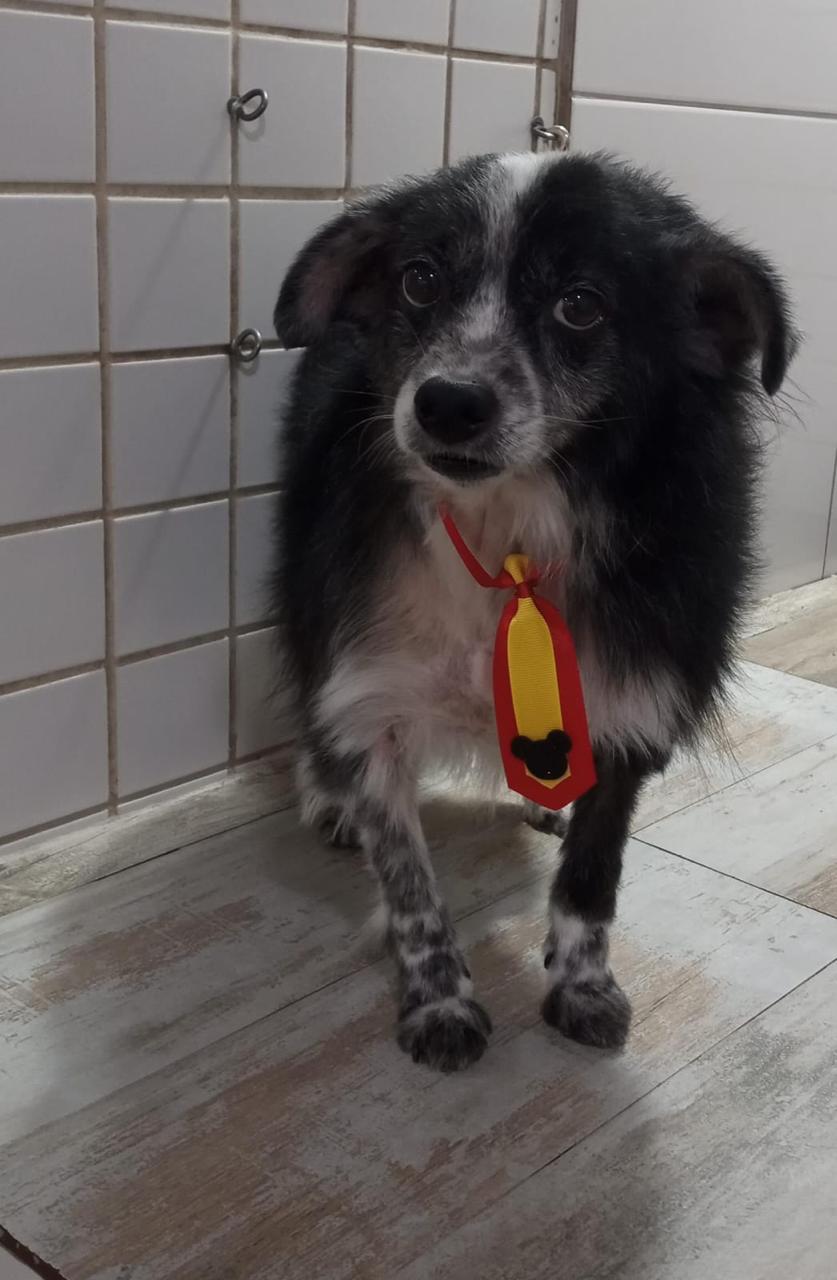 Gravatinha na saída do atendimento