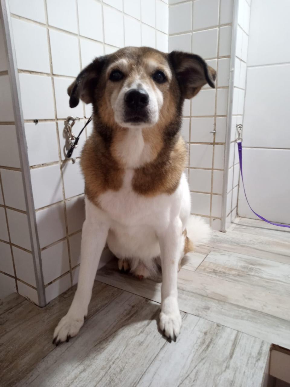 Manejo gentil do começo ao fim